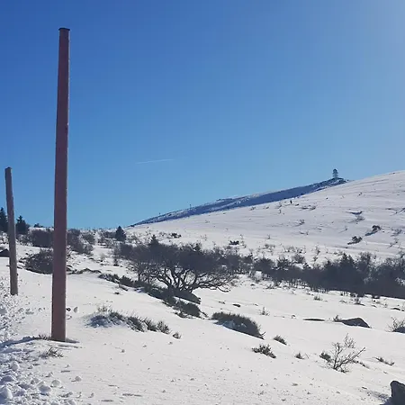 Grand Confort En Pleine Nature - Le Perchoir De L'olme Hébergement de vacances Chalmazel-Jeansagniere