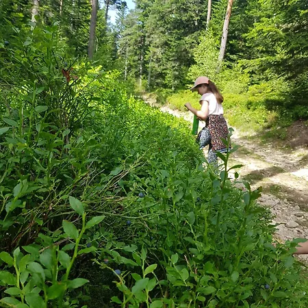 Hébergement de vacances Grand Confort En Pleine Nature - Le Perchoir De L'olme